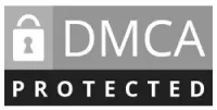 certificate dmca norwegianadventureguides.com
